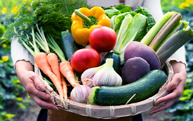 旬な野菜(TB用画像)