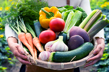 旬な野菜(SP用画像)